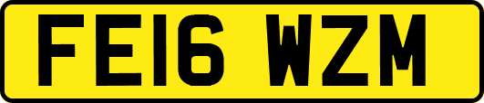 FE16WZM