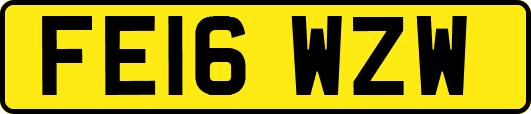 FE16WZW