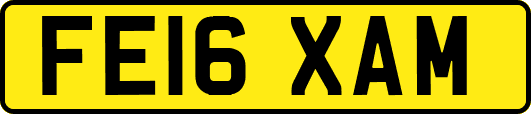 FE16XAM