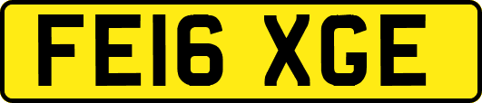 FE16XGE