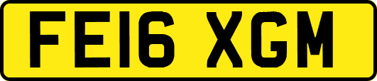 FE16XGM