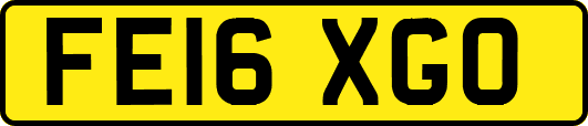FE16XGO