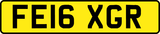 FE16XGR