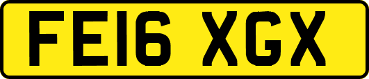 FE16XGX