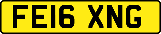 FE16XNG
