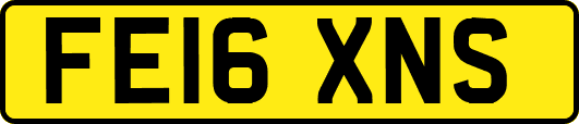 FE16XNS