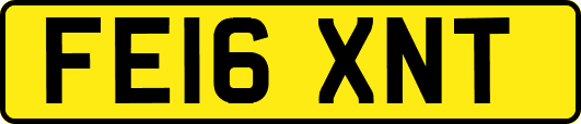 FE16XNT