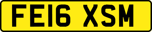 FE16XSM