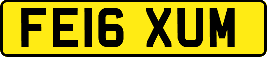 FE16XUM