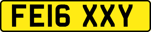 FE16XXY