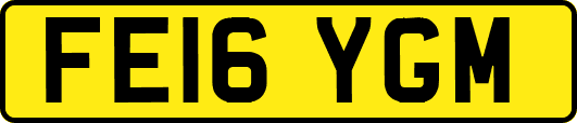 FE16YGM