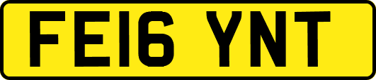 FE16YNT