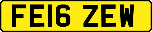 FE16ZEW