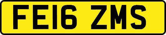 FE16ZMS