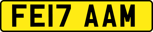 FE17AAM