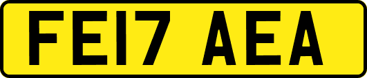 FE17AEA
