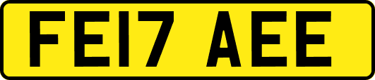 FE17AEE