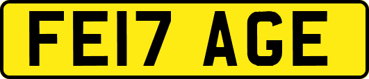 FE17AGE
