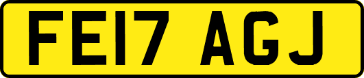 FE17AGJ