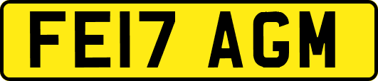 FE17AGM