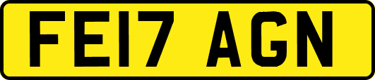 FE17AGN