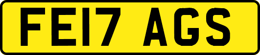 FE17AGS