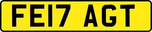 FE17AGT