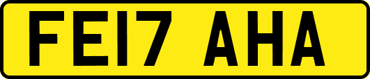 FE17AHA