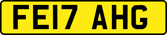 FE17AHG