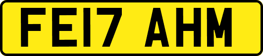 FE17AHM