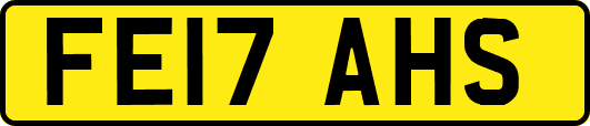 FE17AHS