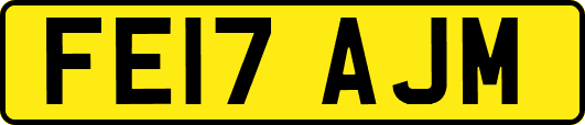 FE17AJM