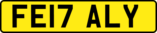 FE17ALY