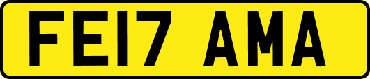 FE17AMA