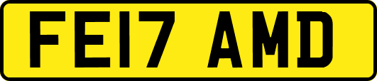 FE17AMD