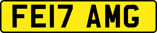 FE17AMG