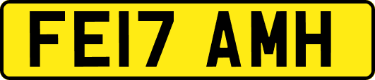 FE17AMH
