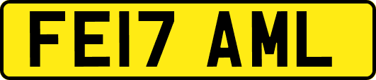 FE17AML