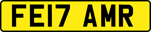 FE17AMR