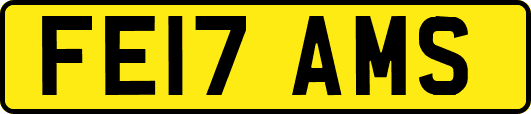 FE17AMS