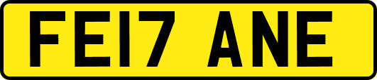 FE17ANE