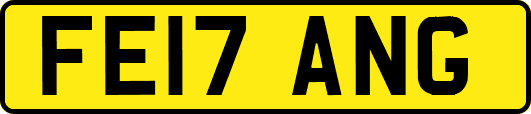 FE17ANG