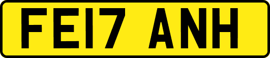 FE17ANH