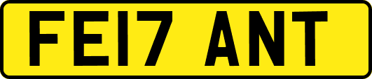 FE17ANT