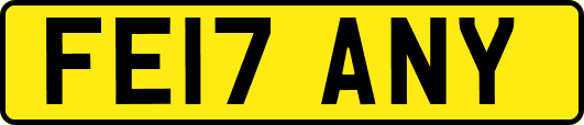 FE17ANY