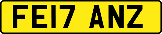 FE17ANZ
