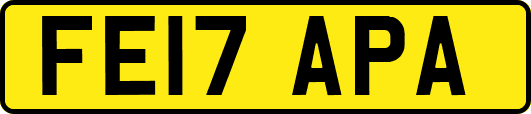 FE17APA
