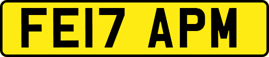 FE17APM