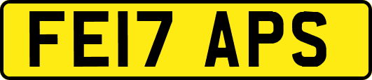 FE17APS