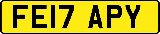 FE17APY